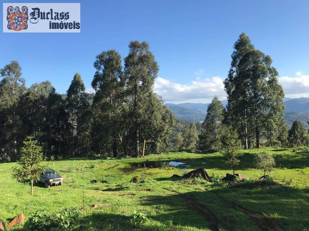 Terreno à venda, 200000m² - Foto 50