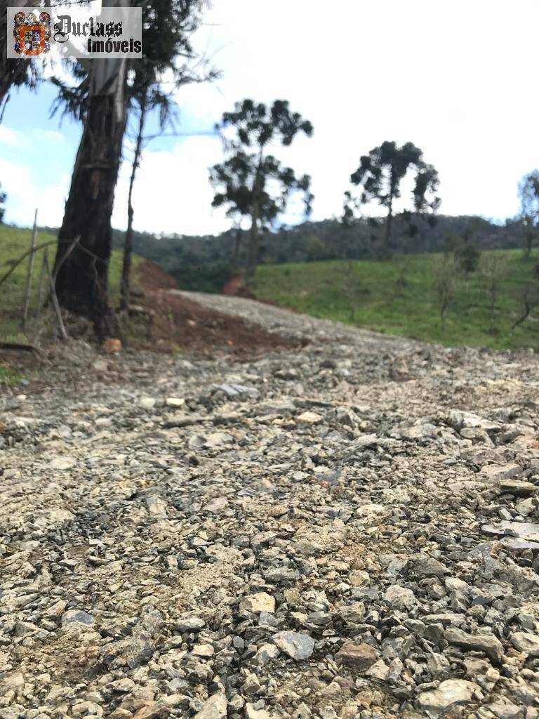 Terreno à venda, 200000m² - Foto 56