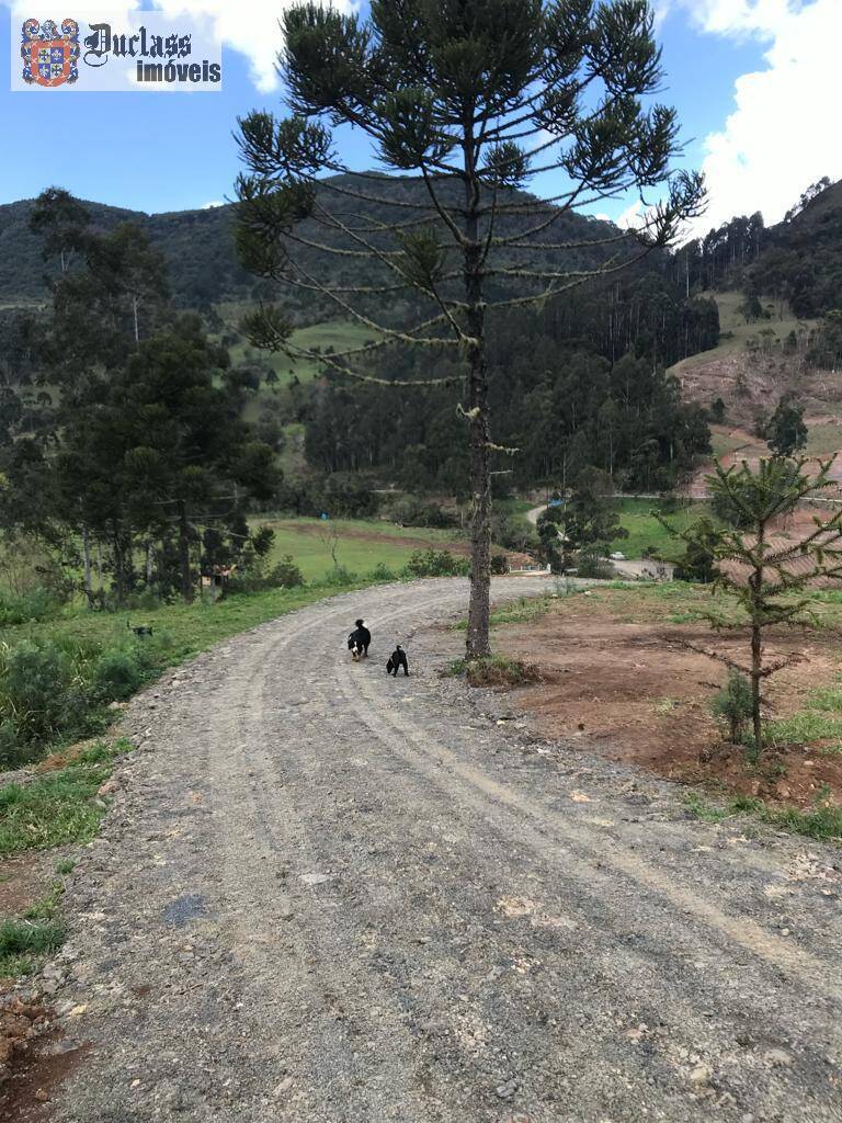 Terreno à venda, 200000m² - Foto 64