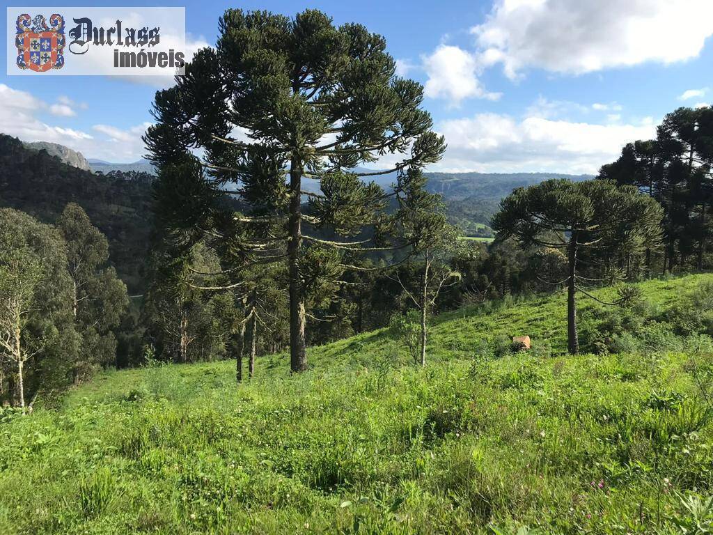 Terreno à venda, 200000m² - Foto 62
