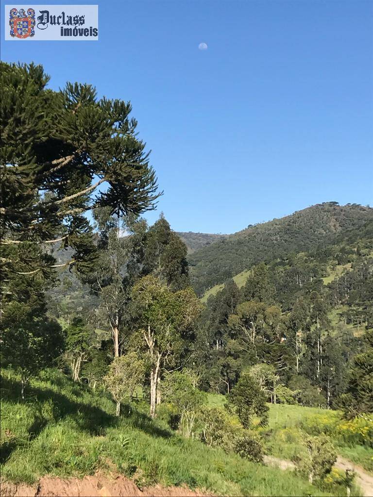 Terreno à venda, 200000m² - Foto 69