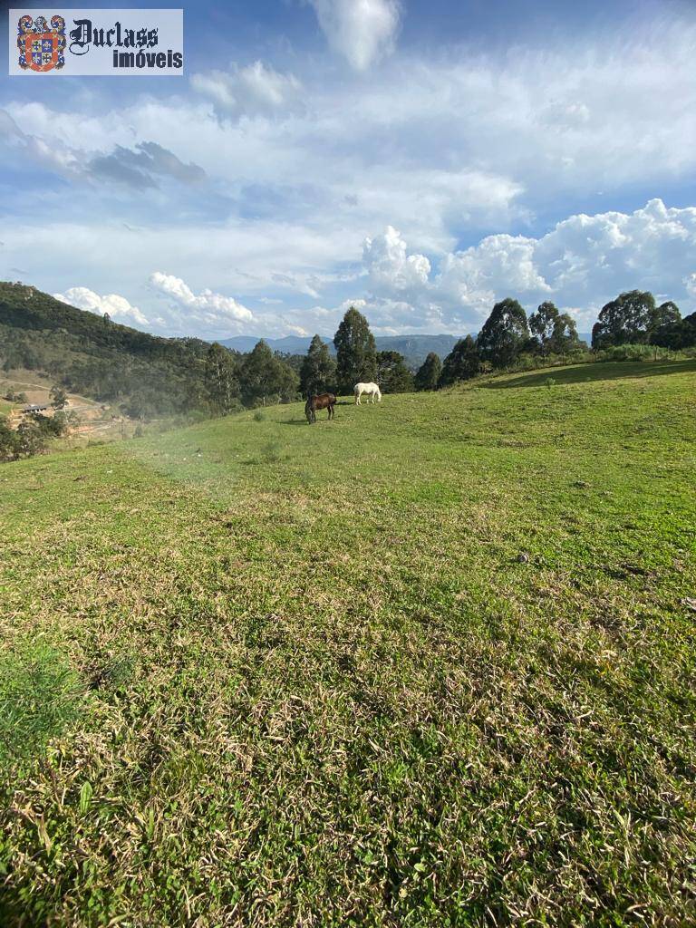 Terreno à venda, 200000m² - Foto 81