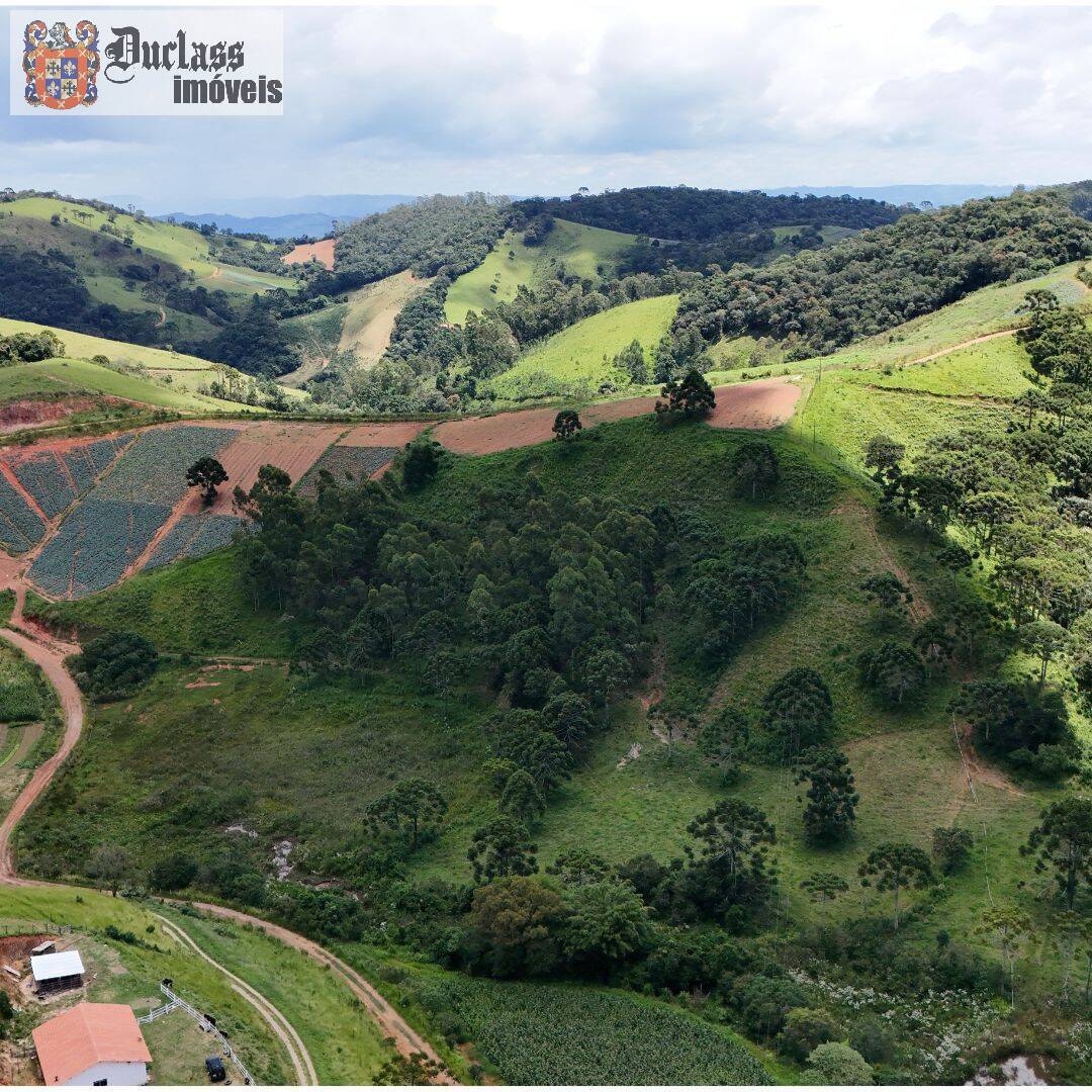 Terreno à venda, 31850m² - Foto 2