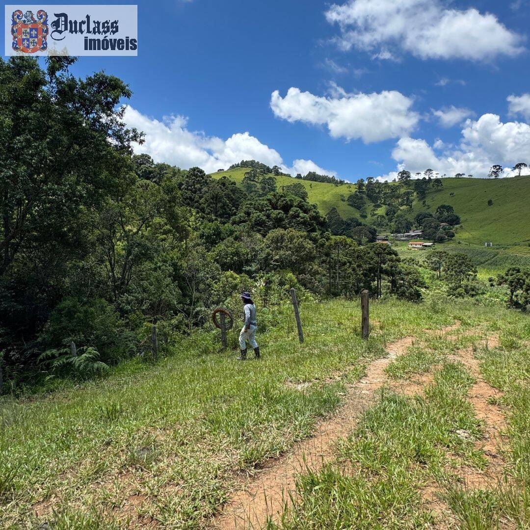 Terreno à venda, 31850m² - Foto 20