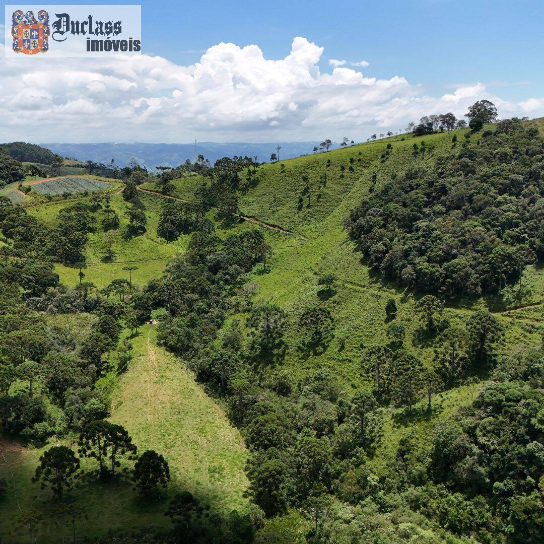 Terreno à venda, 31850m² - Foto 26