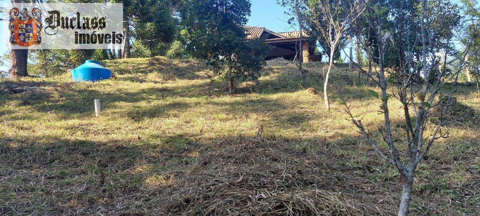 Sítio à venda com 1 quarto, 180m² - Foto 2