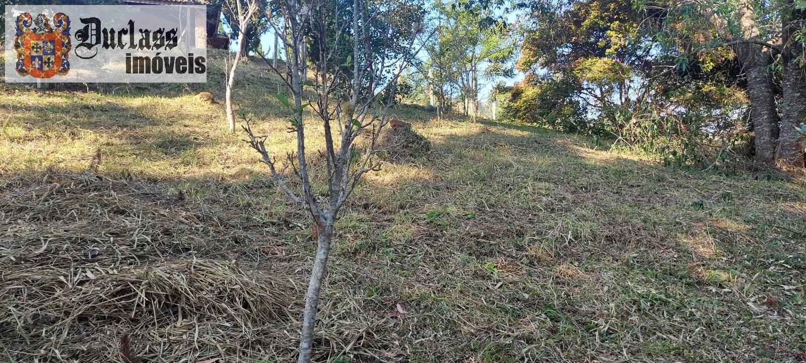 Sítio à venda com 1 quarto, 180m² - Foto 3