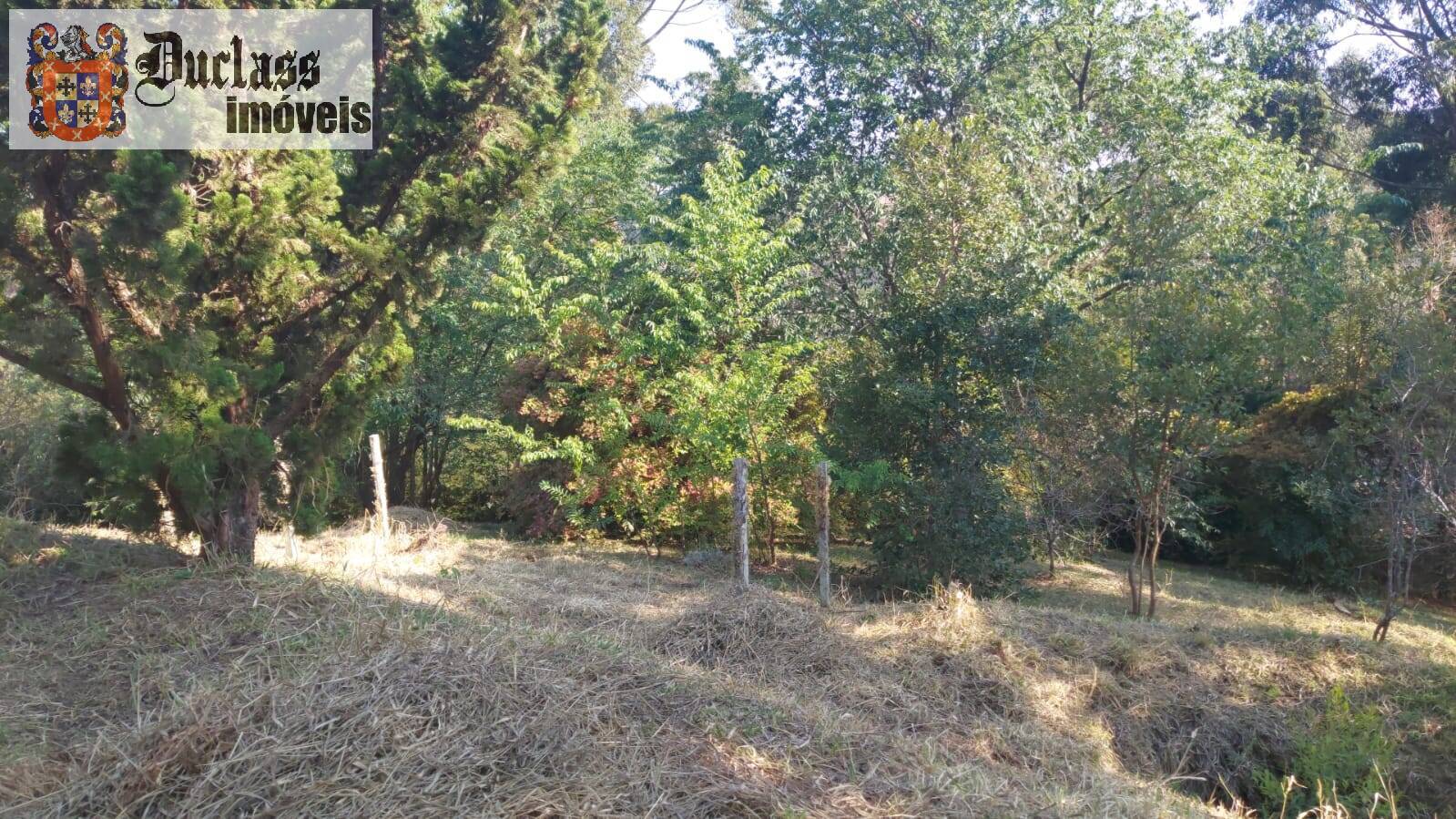 Sítio à venda com 1 quarto, 180m² - Foto 4