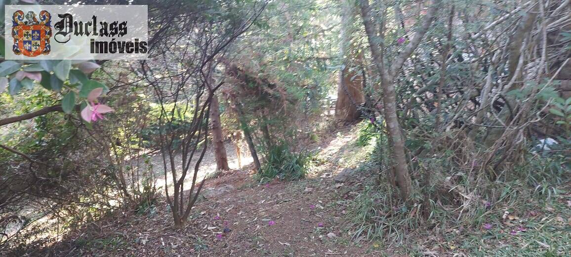 Sítio à venda com 1 quarto, 180m² - Foto 8