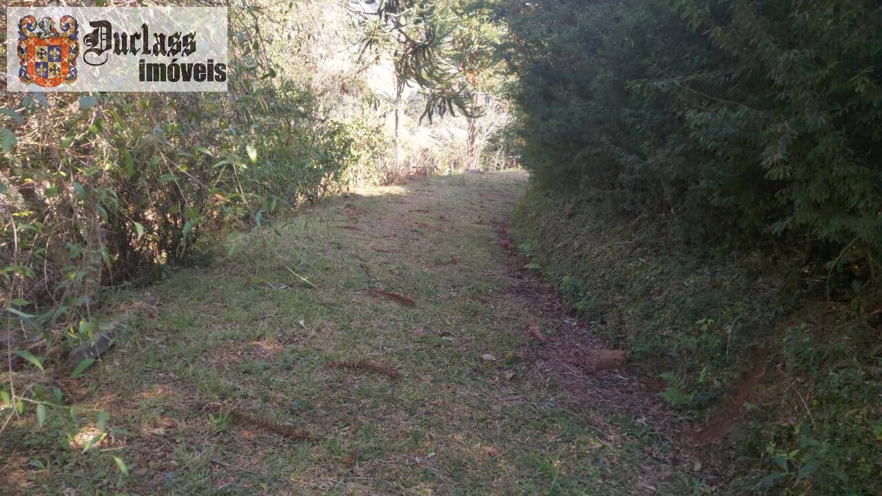 Sítio à venda com 1 quarto, 180m² - Foto 7