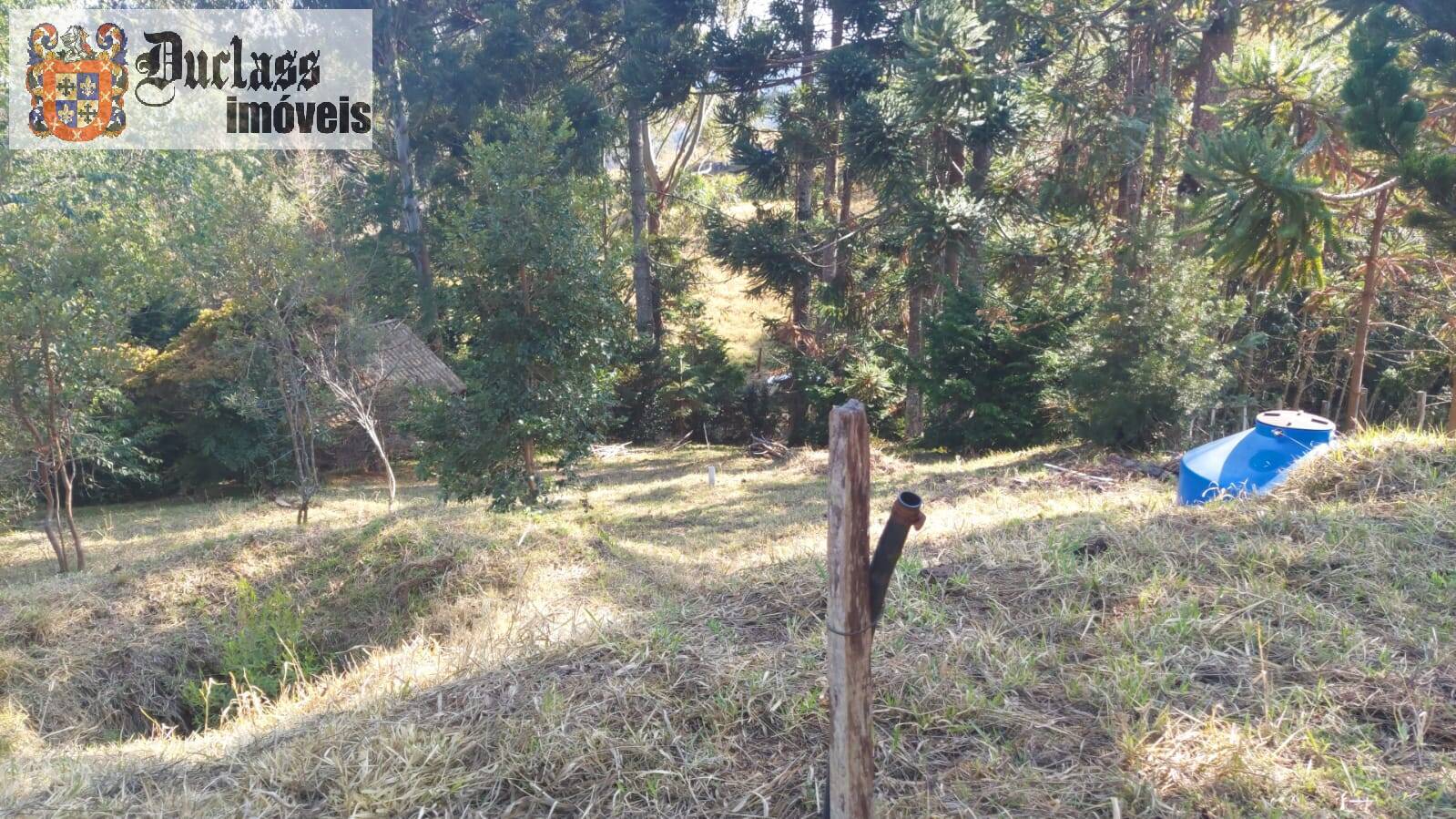 Sítio à venda com 1 quarto, 180m² - Foto 5