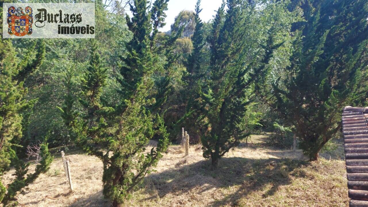 Sítio à venda com 1 quarto, 180m² - Foto 11