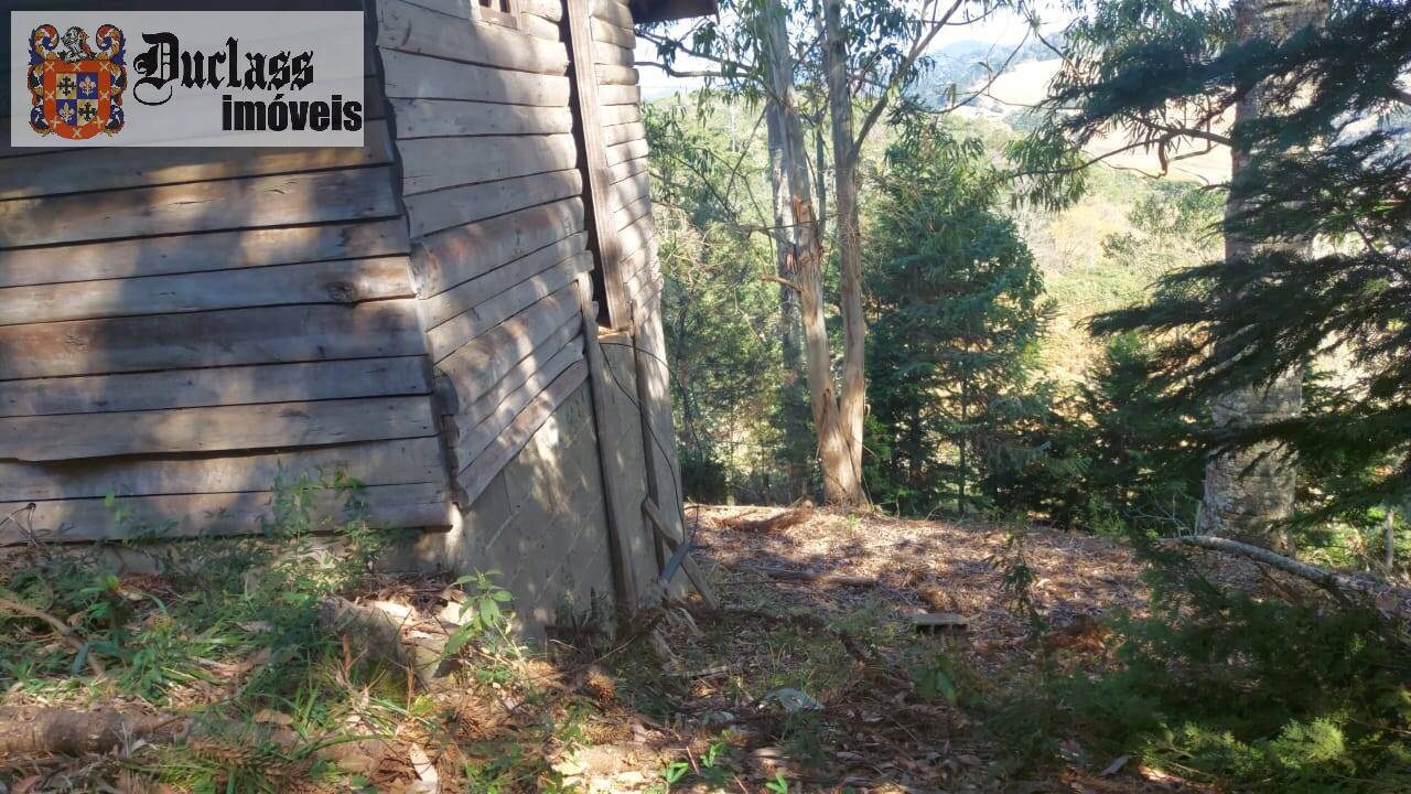 Sítio à venda com 1 quarto, 180m² - Foto 9