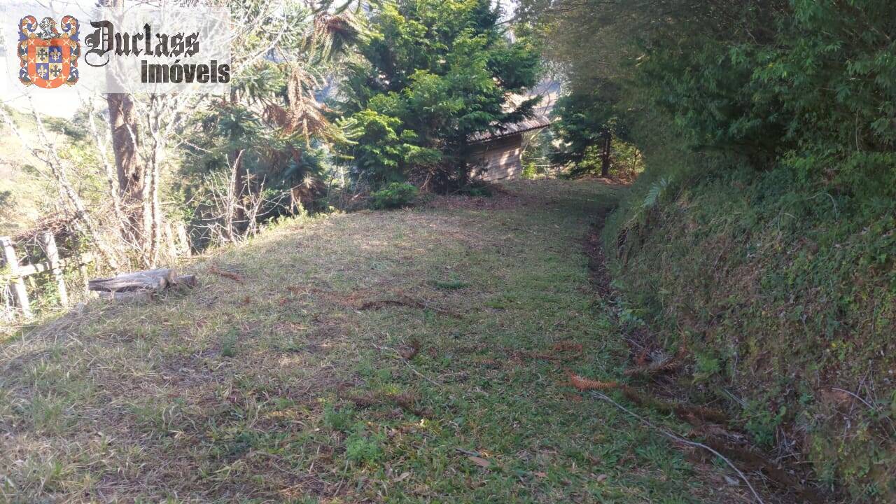 Sítio à venda com 1 quarto, 180m² - Foto 14