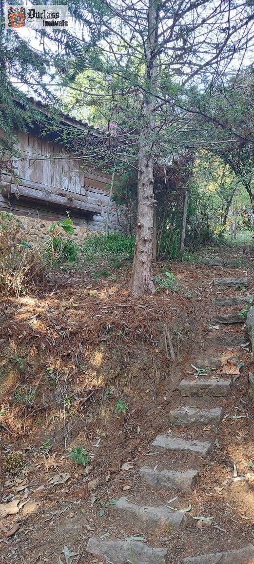 Sítio à venda com 1 quarto, 180m² - Foto 18
