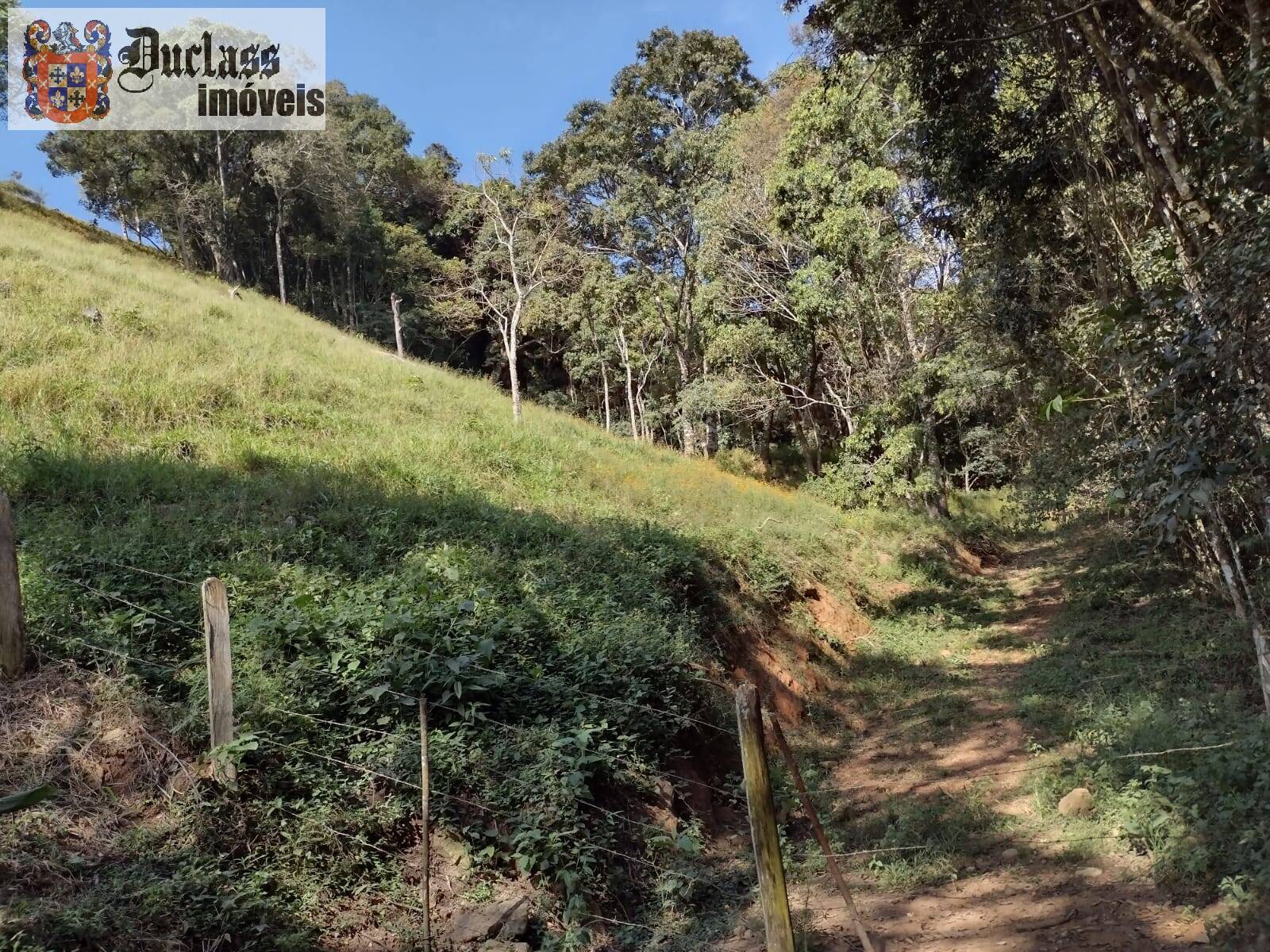 Chácara, 3 quartos, 3 hectares - Foto 10