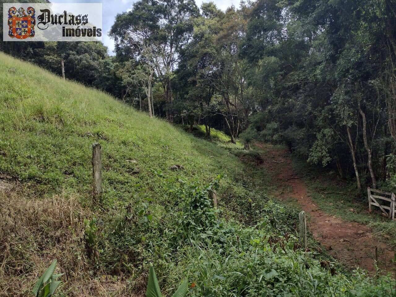 Chácara, 3 quartos, 3 hectares - Foto 22