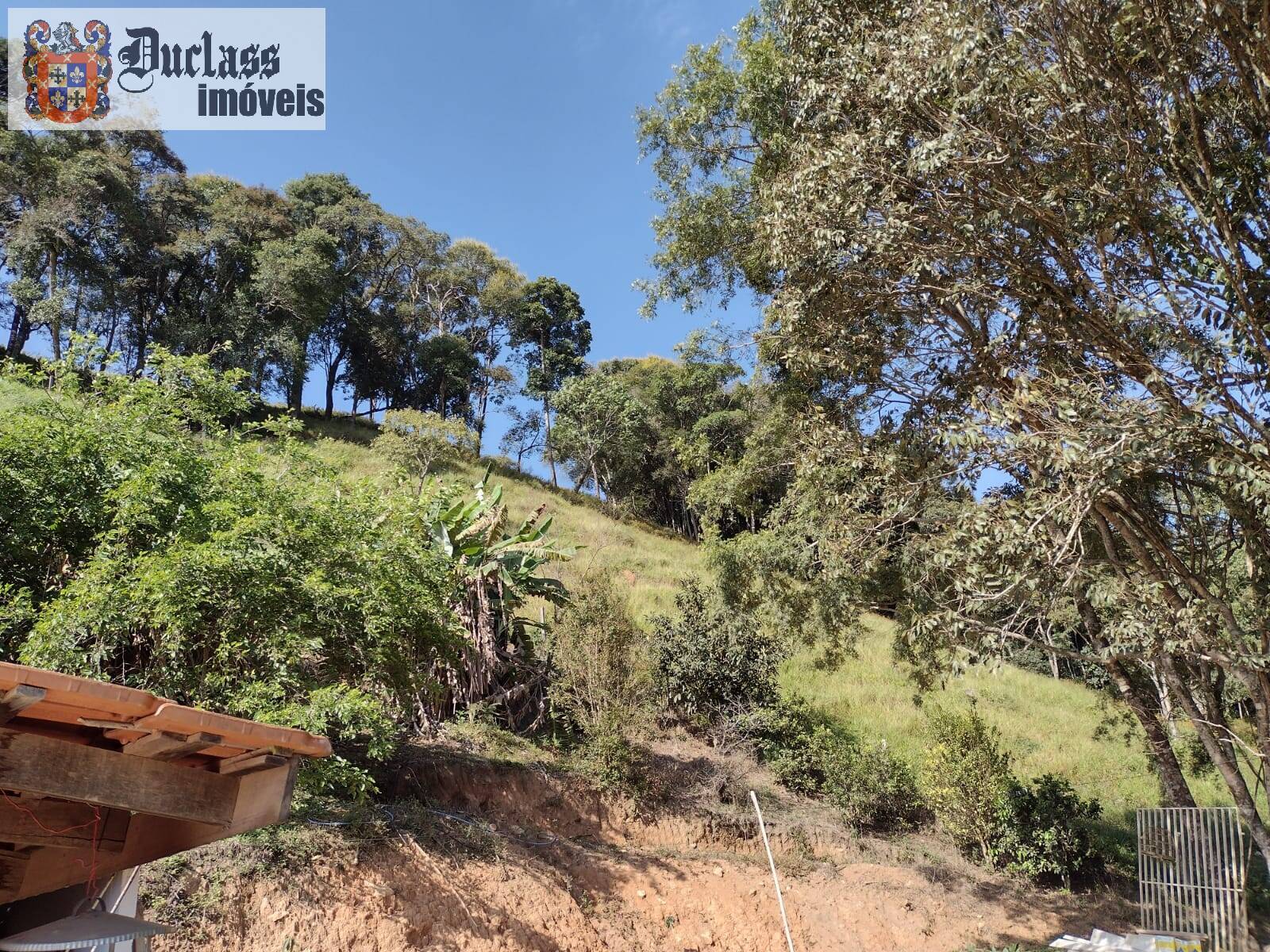 Chácara, 3 quartos, 3 hectares - Foto 34