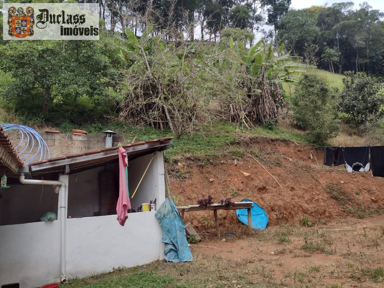 Chácara, 3 quartos, 3 hectares - Foto 35