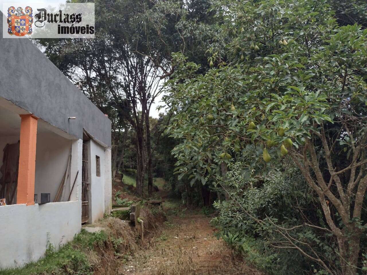 Chácara, 3 quartos, 3 hectares - Foto 48