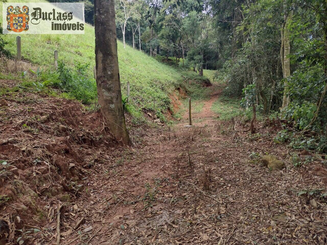 Chácara, 3 quartos, 3 hectares - Foto 52