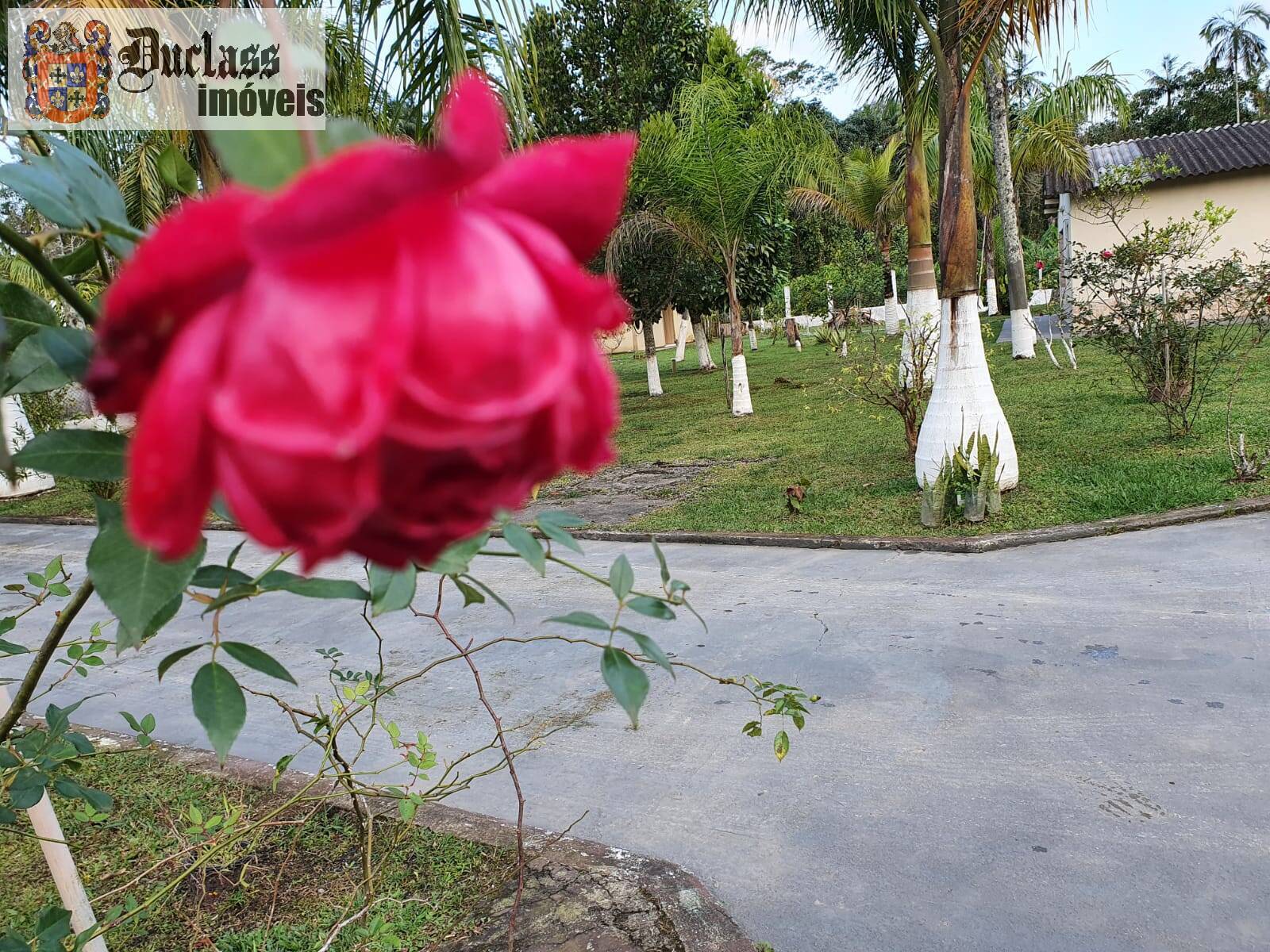 Chácara, 6 quartos, 3000 m² - Foto 10