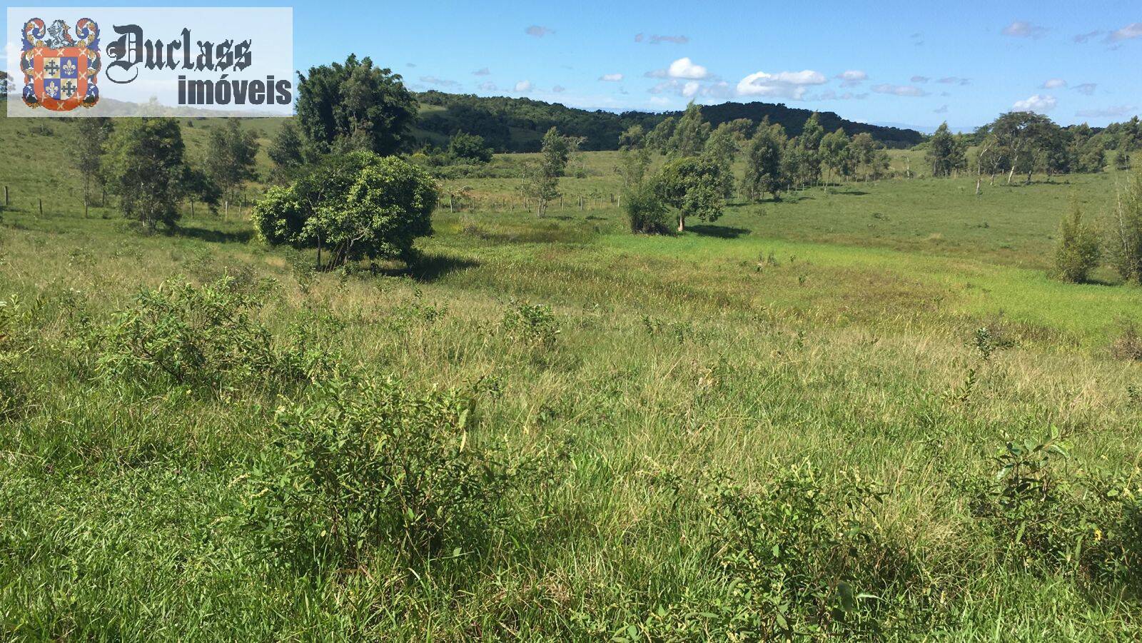 Terreno, 52 m² - Foto 2