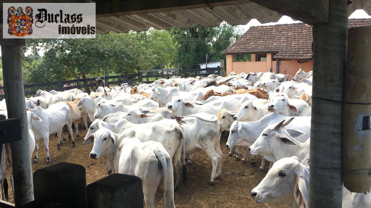 Terreno, 52 m² - Foto 14