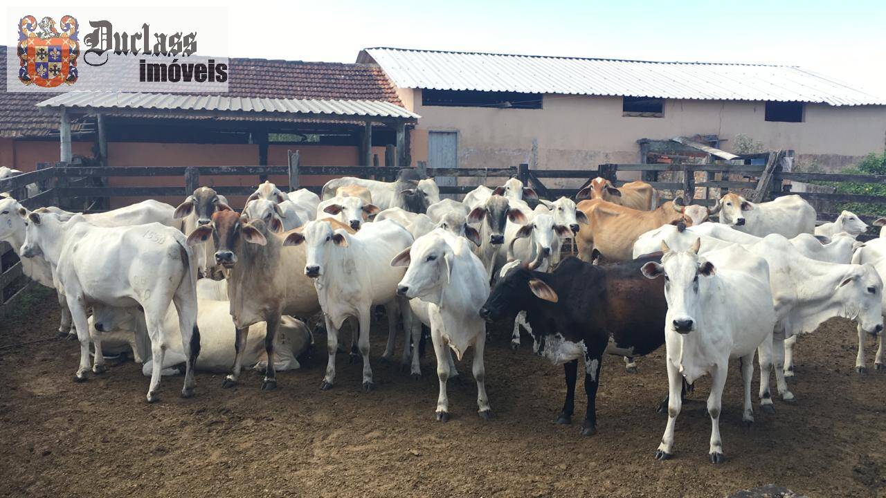 Terreno, 52 m² - Foto 12