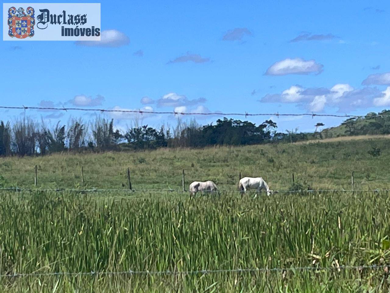 Terreno, 52 m² - Foto 25