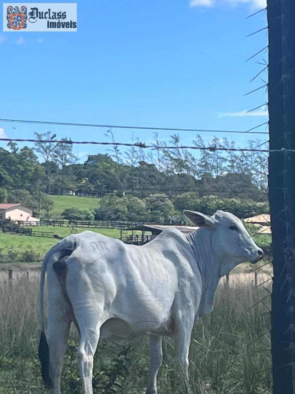 Terreno, 52 m² - Foto 29