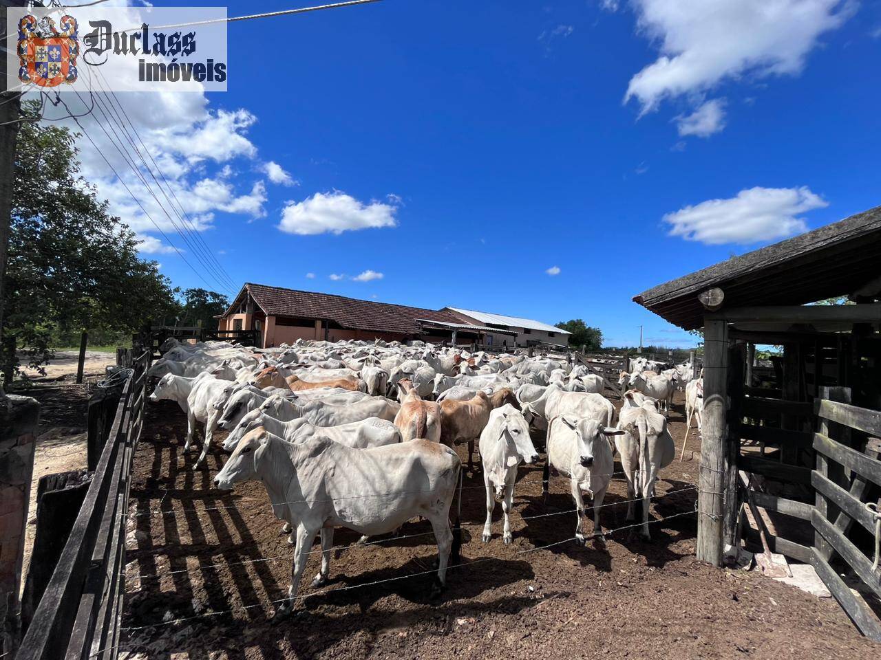 Terreno, 52 m² - Foto 33