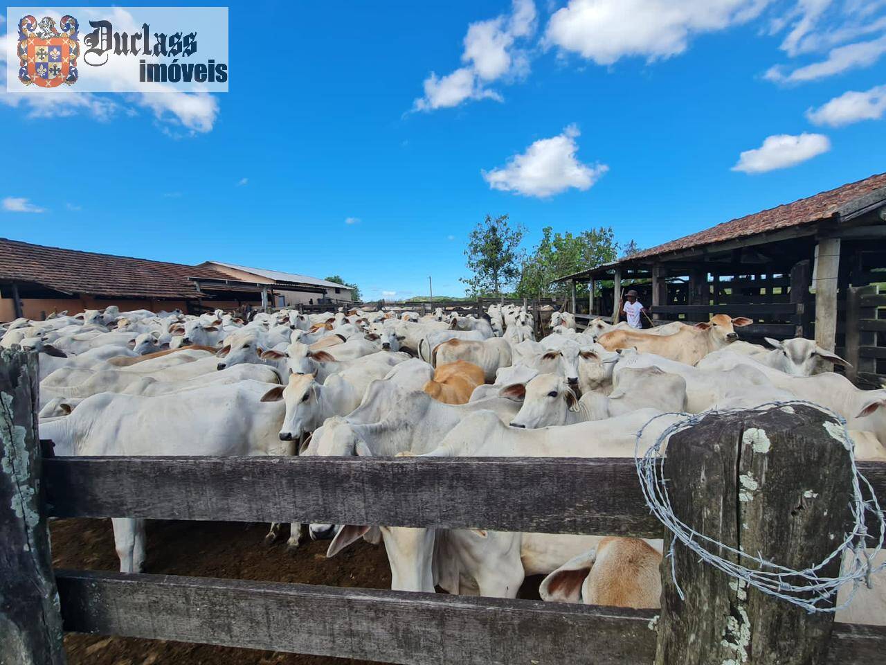 Terreno, 52 m² - Foto 35