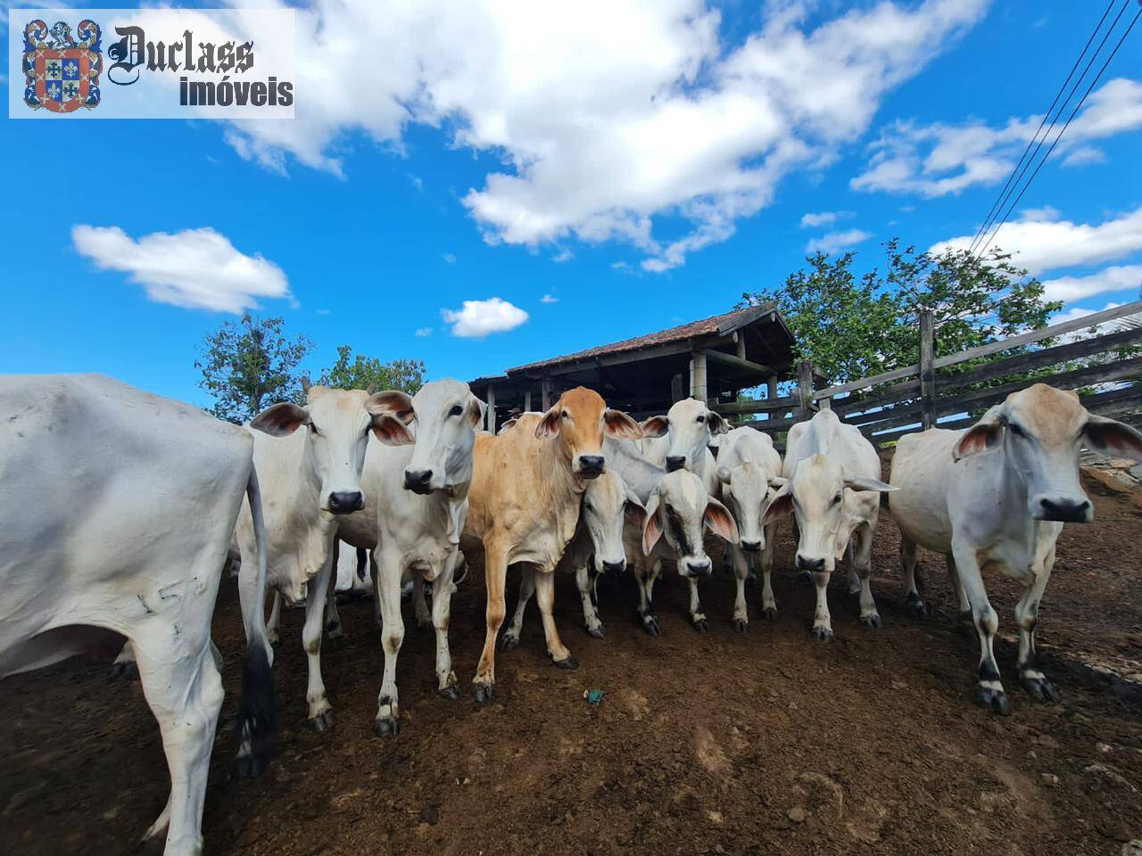 Terreno, 52 m² - Foto 42