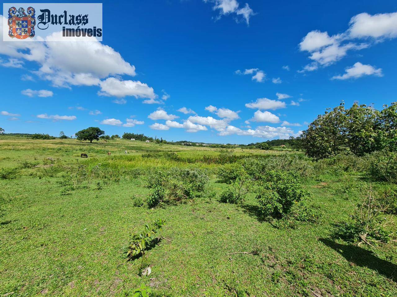 Terreno, 52 m² - Foto 48