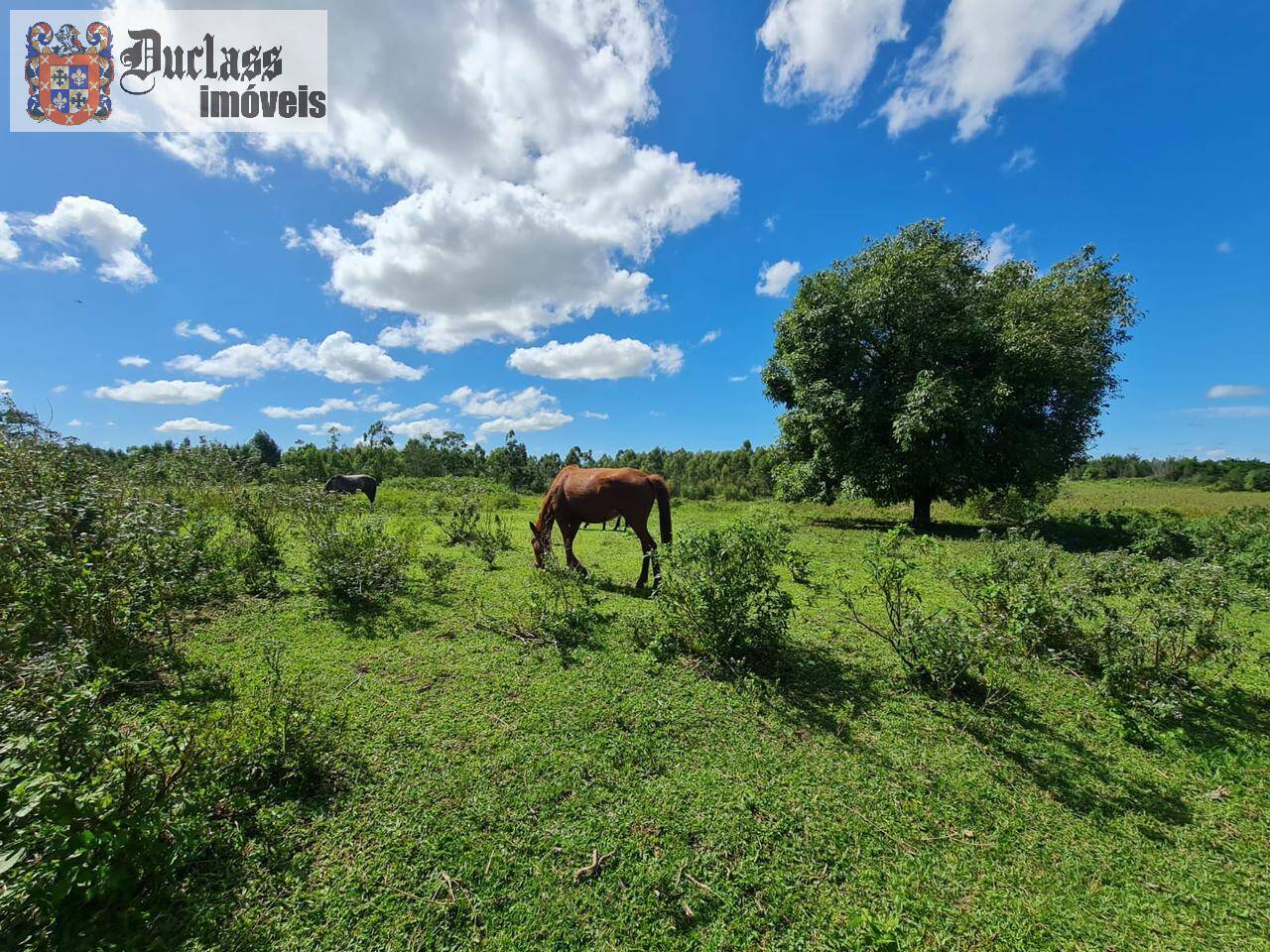 Terreno, 52 m² - Foto 50