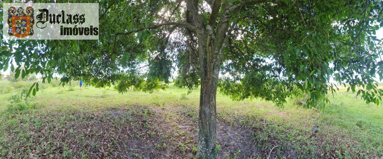 Terreno, 52 m² - Foto 52