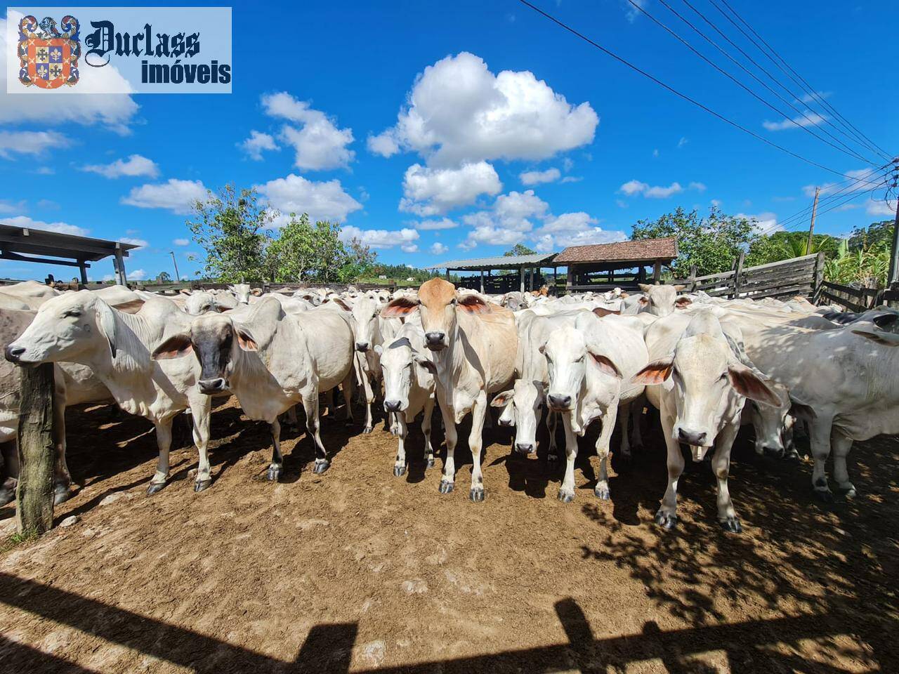 Terreno, 52 m² - Foto 61