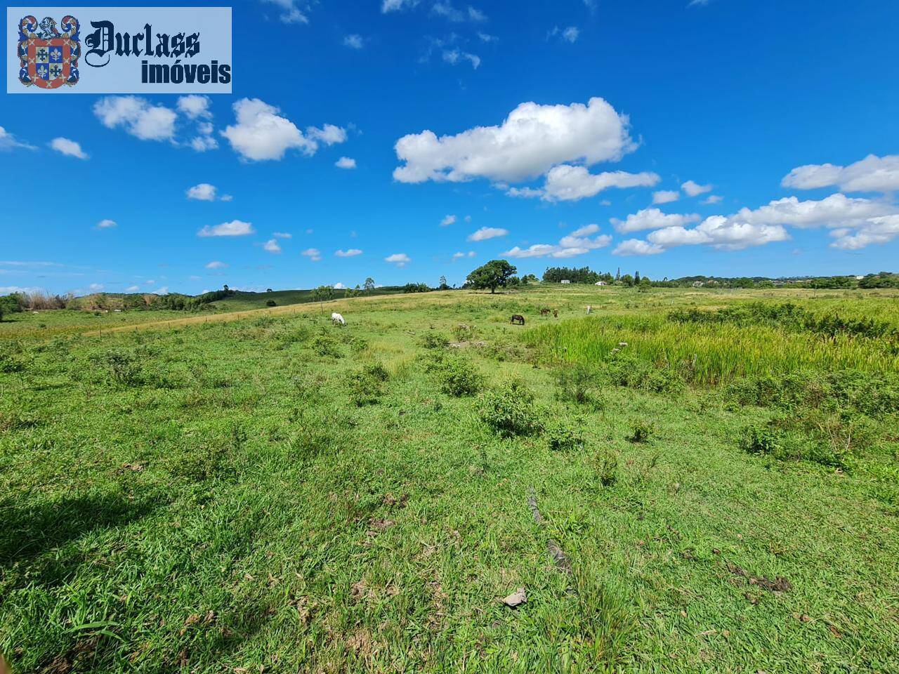 Terreno, 52 m² - Foto 63