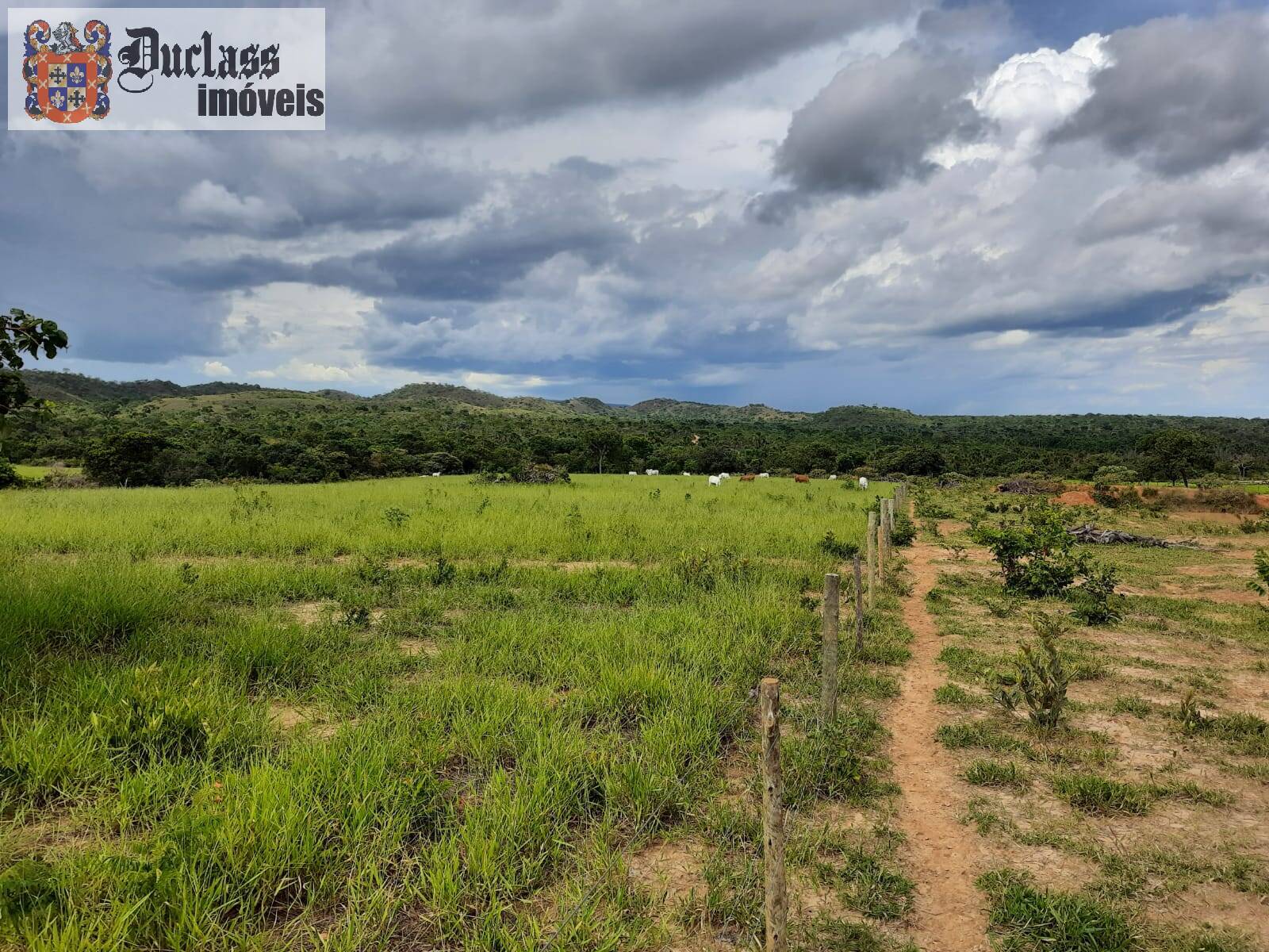 Terreno à venda, 1370m² - Foto 5