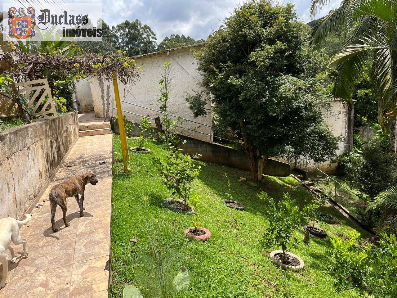 Chácara à venda com 4 quartos, 2131m² - Foto 17