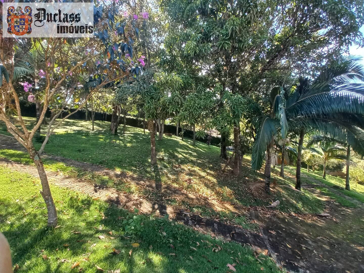 Chácara à venda com 3 quartos, 613m² - Foto 67