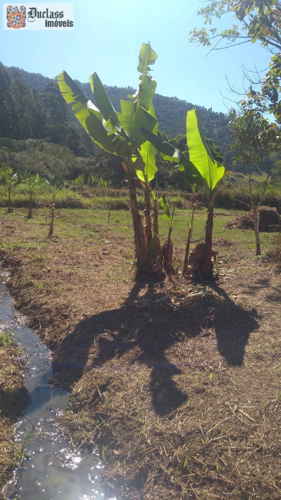 Chácara à venda com 2 quartos, 110m² - Foto 21