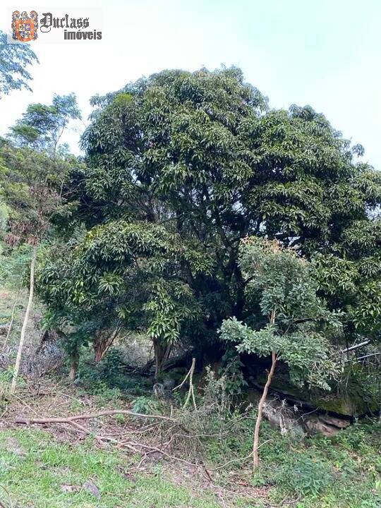 Prédio Inteiro à venda, 60000m² - Foto 9