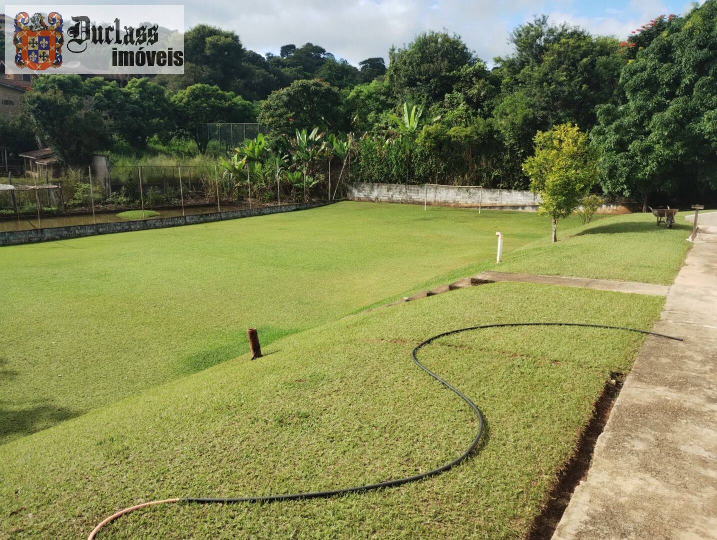 Chácara, 4 quartos, 4105 m² - Foto 3