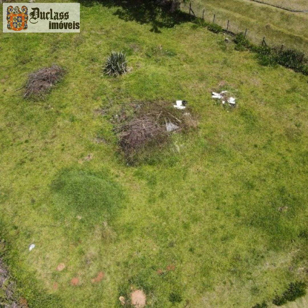 Terreno, 1330 m² - Foto 3