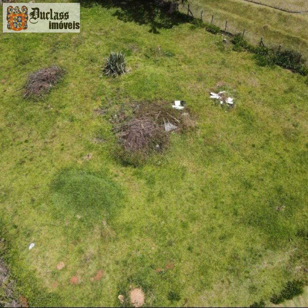 Terreno, 1330 m² - Foto 4