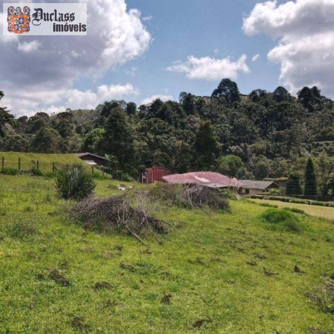 Terreno, 1330 m² - Foto 7