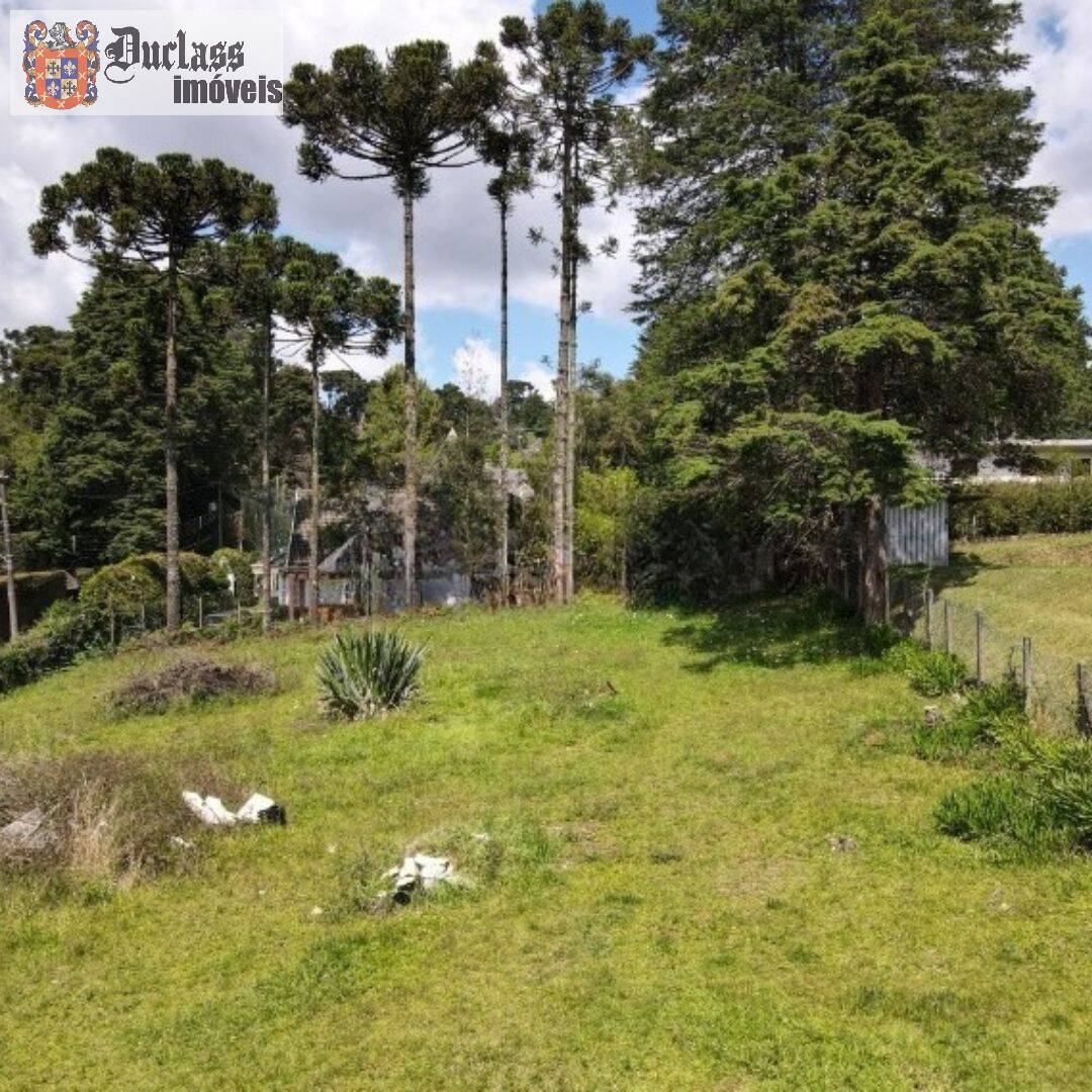 Terreno, 1330 m² - Foto 10