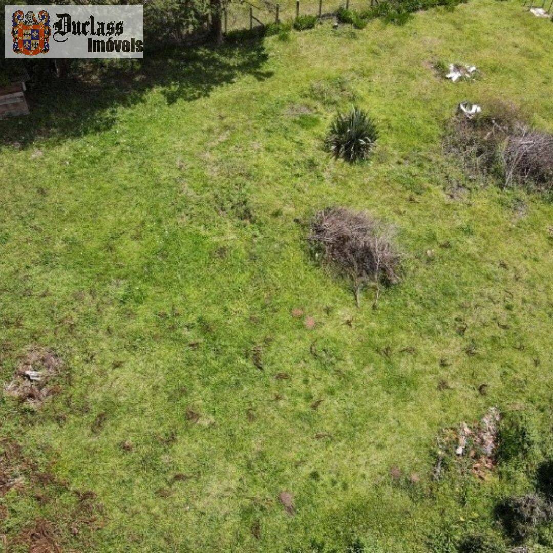 Terreno, 1330 m² - Foto 12